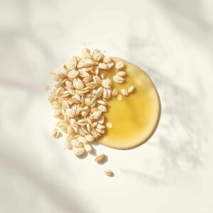 Read more about the article Why Oat Oil is the Next Big Thing for Sensitive Skin in Malaysia